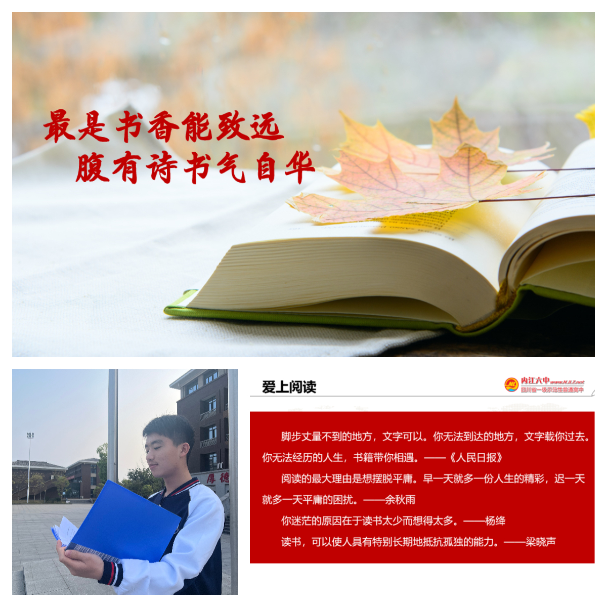 下载 (3).jpg