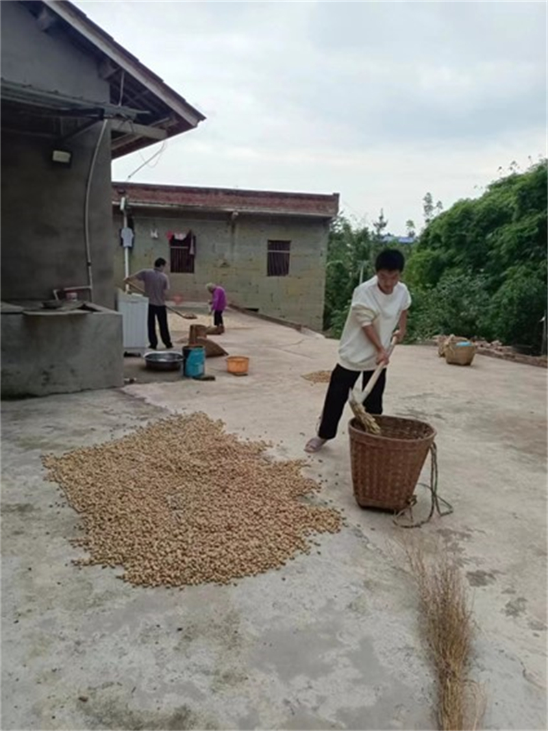 图片38.jpg